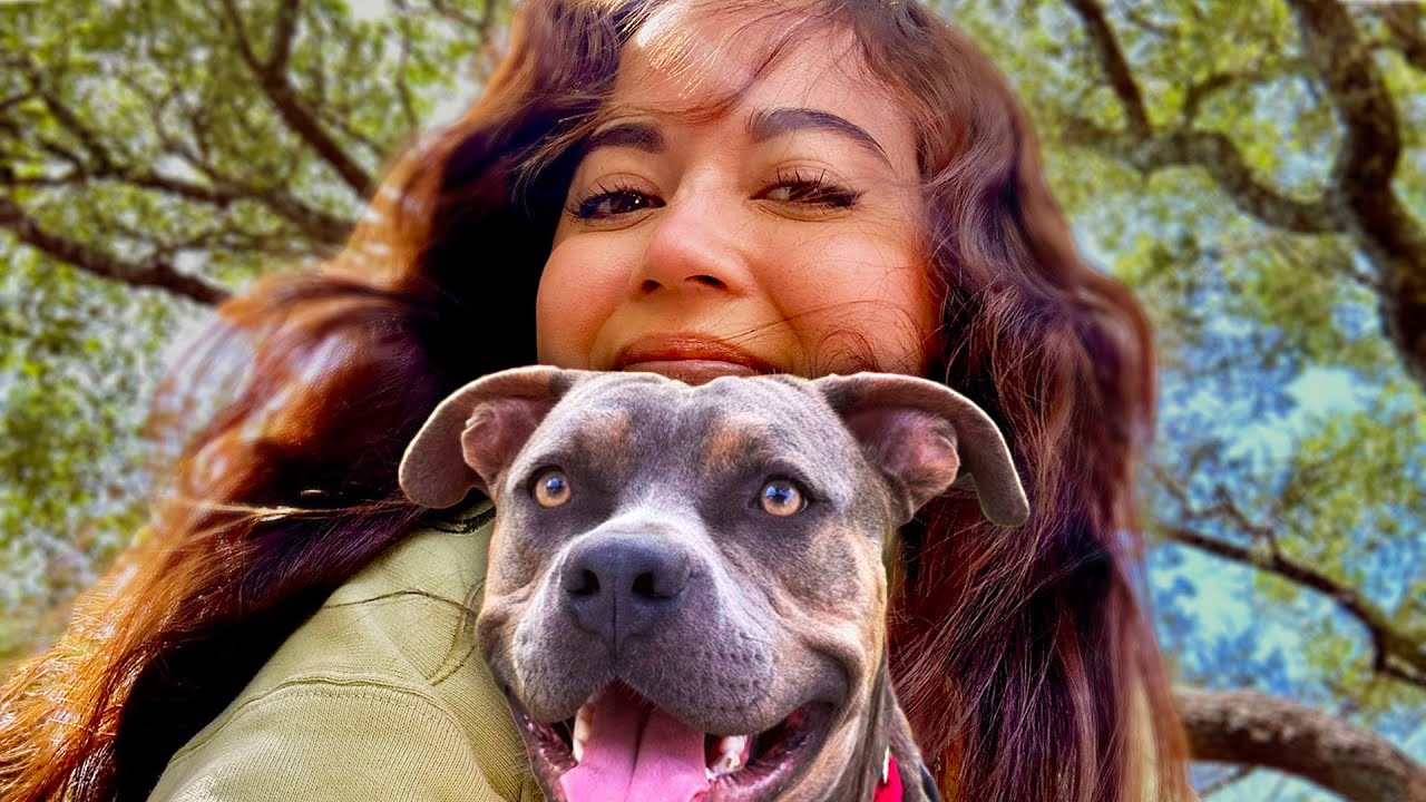 Meeting Cats and Dogs at Austin Pets Alive!