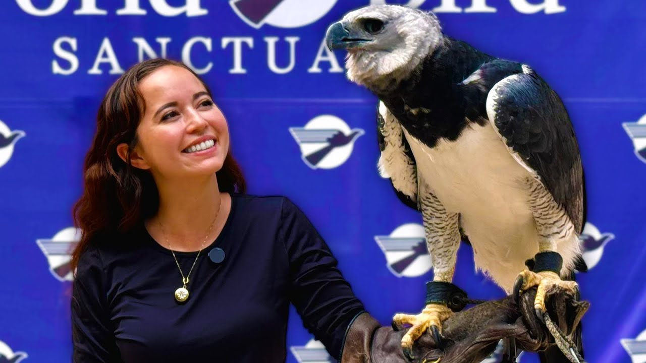 Meeting Birds at World Bird Sanctuary