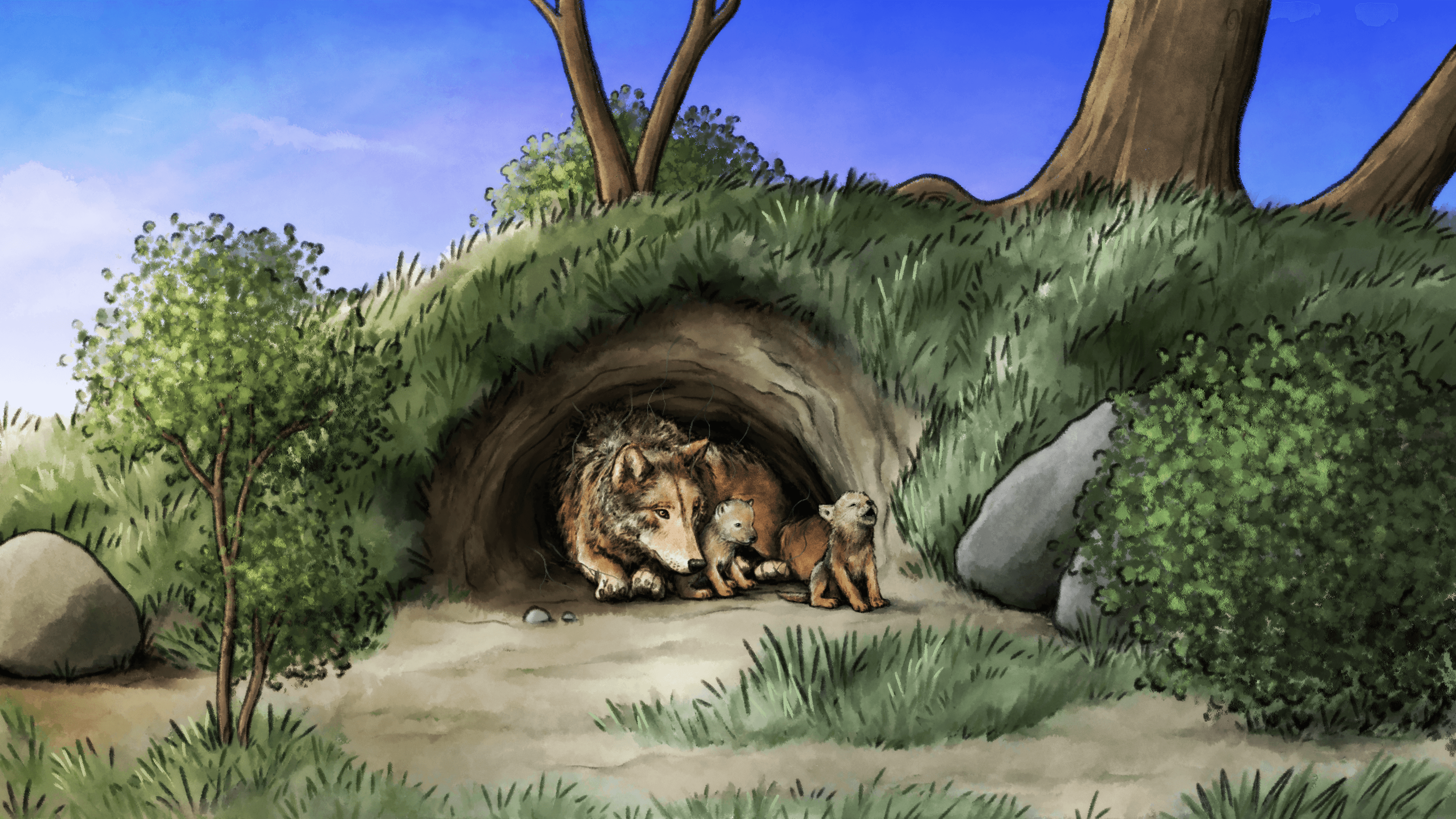 Drawing of three wolf pups in a den